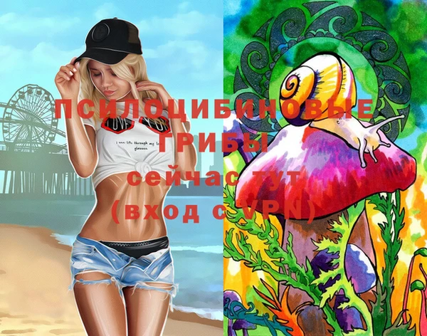 гашиш Надым