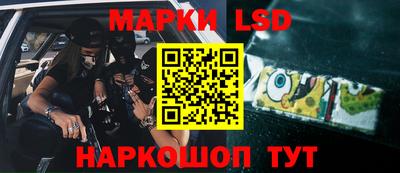 мяу мяу мука Гатчина