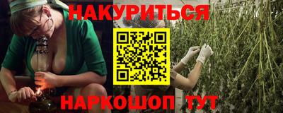 прущие крисы Будённовск