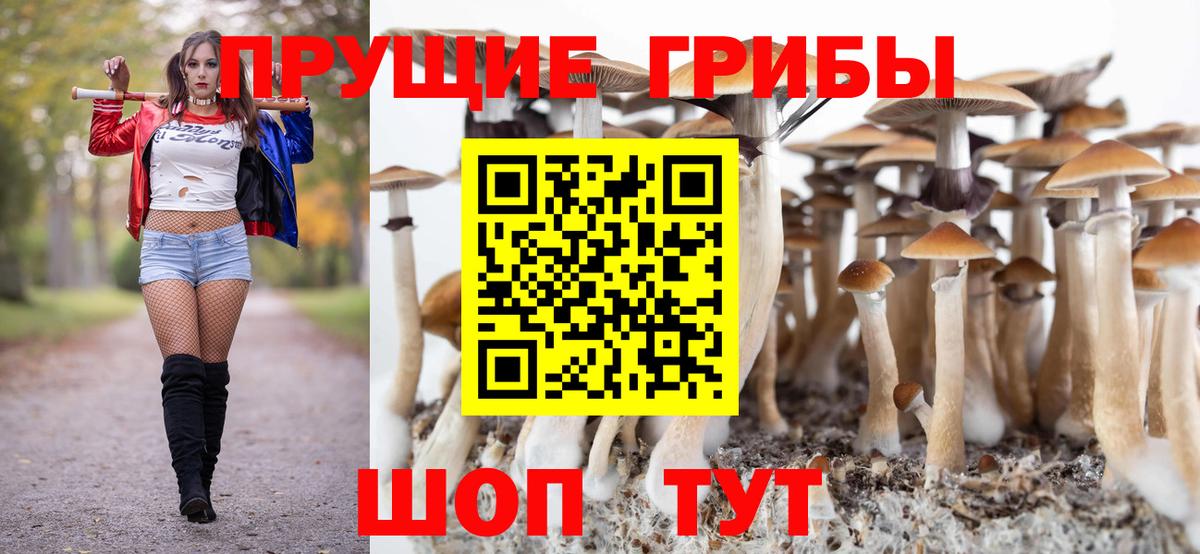 Псилоцибиновые грибы Psilocybe  Зеленокумск 