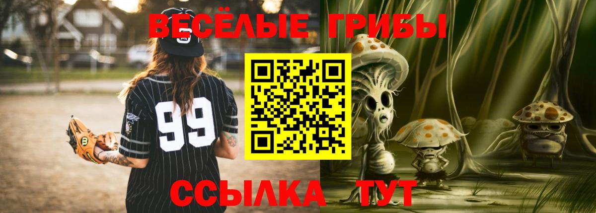 Галлюциногенные грибы GOLDEN TEACHER Зеленокумск