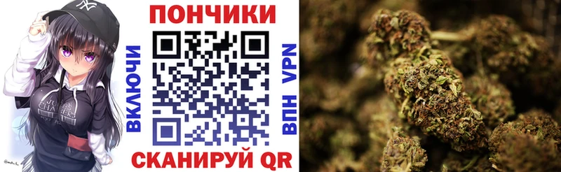 darknet телеграм  Зеленокумск  Каннабис семена 